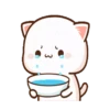 IPeach Cats 1MOV 17