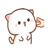 IPeach Cats 1MOV 19