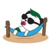 Baby Panda 13