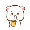 IPeach Cats 1MOV 21