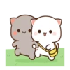 Peach Cat 12 13