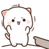 Peach Cat 12 14