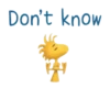 SNOOPY THE MOVIE 11