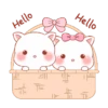 Cat kawaii   ️MOV 12