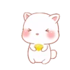 Cat kawaii   ️MOV 14