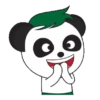 Baby Panda 17