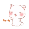 Cat kawaii   ️MOV 15