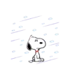 SNOOPY 4 mov. 21