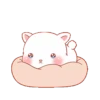 Cat kawaii   ️MOV 18