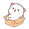 IPeach Cats 2MOV 22