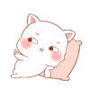 Cat kawaii   ️MOV 19