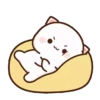 Peach Cat 12 20