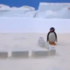 ● Pingu Mov. ● 29