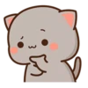 Peach Cat 12 24