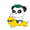 Baby Panda 26