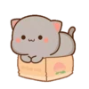IPeach Cats 2MOV 29