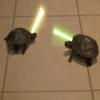 Funny Animals Mix 6