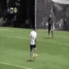 ️[PUMAS]️Mov 8
