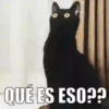 Funny Animals Mix 7