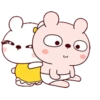 Lovely rabbit 10