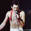 Freddie Mercury 9