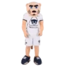 ️[PUMAS]️Mov 14