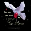 Frases con amor 10