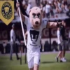️[PUMAS]️Mov 16
