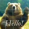 Funny Animals Mix 19