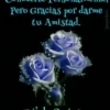 Frases con amor 18