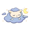 Buenas noches 14
