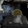 Funny Animals Mix 22
