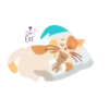 Buenas noches 26
