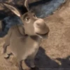 Gato con botas y burro 7