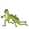 Земля лягушек 11