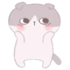 🐰🐱Animalitos kawaii MOV by Yessy 11