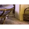 Mais gatinhos 9 19