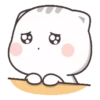 Gatito tierno 15