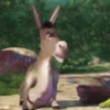 Gato con botas y burro 13
