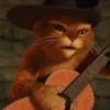 Gato con botas y burro 14