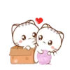Wen, the small meow Mov 17