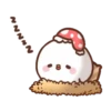 sweet house Chickens Mov 12