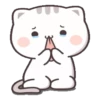 Gatito tierno 26