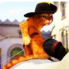 Gato con botas y burro 26