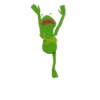 Земля лягушек 29