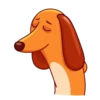MONO Y PERRO mov. 6