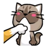 Meow Zhua Zhua Mov 5
