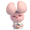 Conejo rosado 5