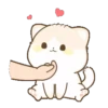 Lovely Cat MiaoMOV 10
