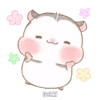 《HAMSTER CUTE MOVIM》 11
